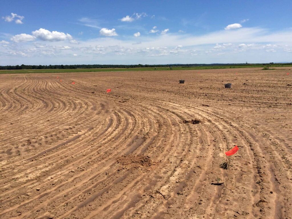Bare agricultural field in a former prairie area.